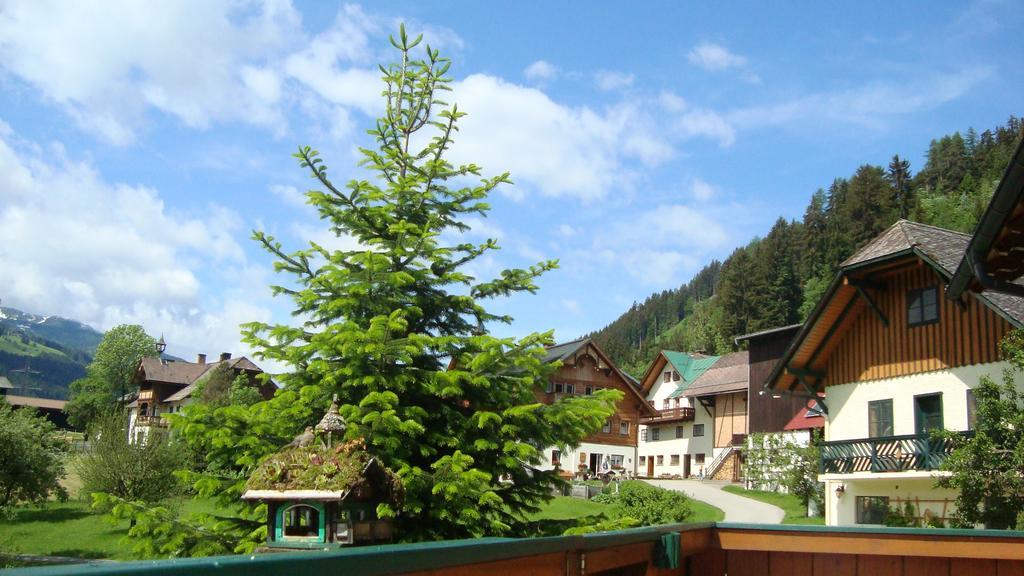 Holdhaeusl Apartment Шладминг Стая снимка